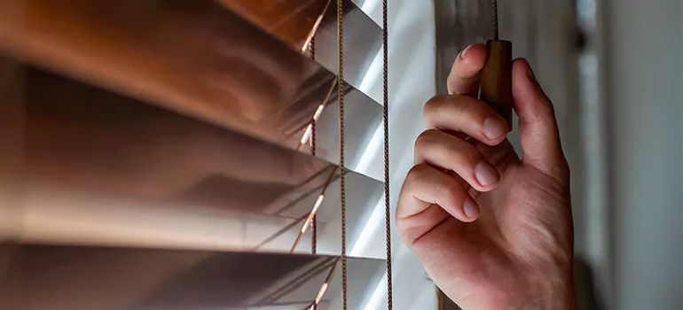 Double Roller Blinds in Lauderhill, FL